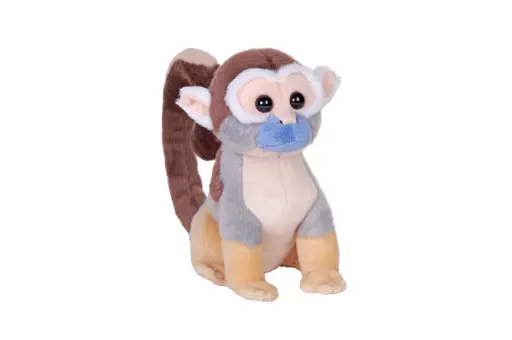 [53337] Splendors eco Squirrel Monkey