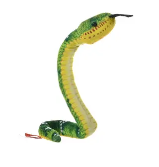 [53339] Coilinks emerald tree Boa