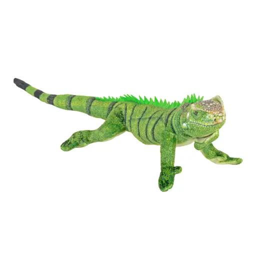 [53341] Coilkings Iguana