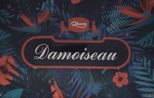 [45140] Affiche métal 20x30 Damoiseau Flower